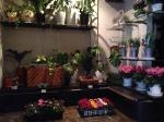 ２月となりましたね｜「木下生花店」　（京都府宇治市の花キューピット加盟店 花屋）のブログ